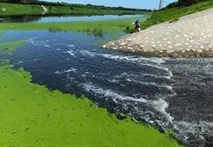 面對(duì)黑臭水體治理難題，都有哪些應(yīng)用不錯(cuò)的處理工藝？