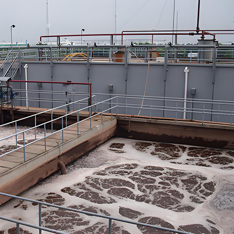 培菌注意事項有哪些？