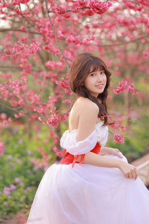 黑色圣经1至6节樱花观免费