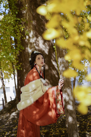 秘密列车在线全集免费观看