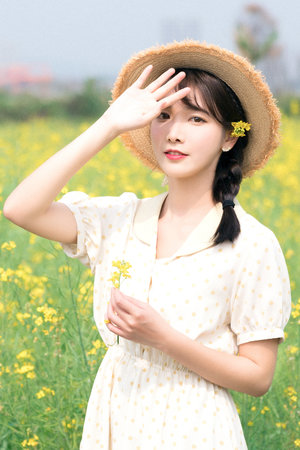 植物大战僵尸2百度网盘