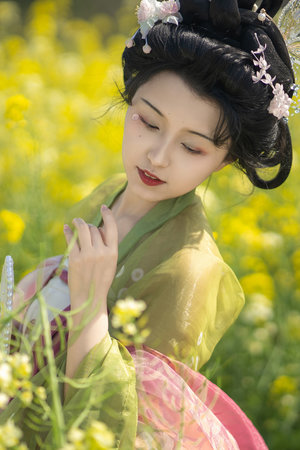 火影忍者疾风传1～720免费观看