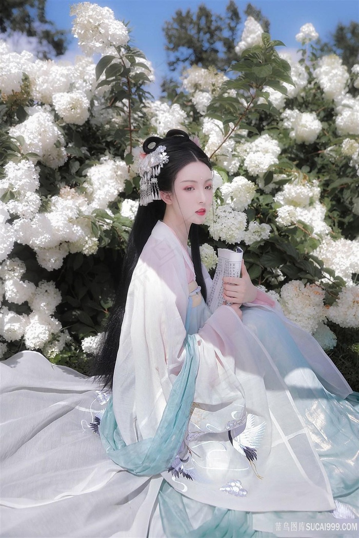 美美哒电视剧免费观看完整版