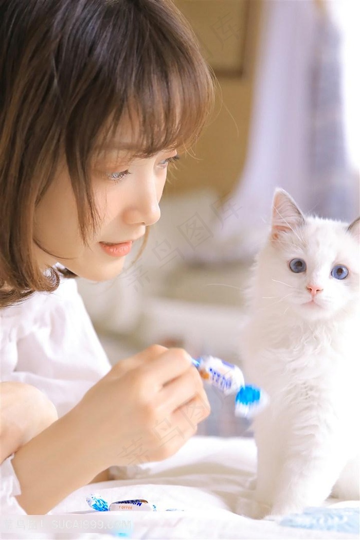 公共女人免费观看全集