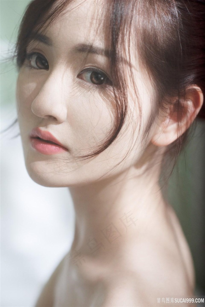 在线观看免费观看高清入口