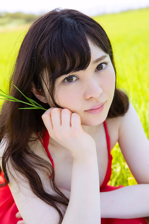 温柔的陷阱韩国剧情