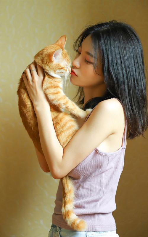 深田咏美在线免费观看