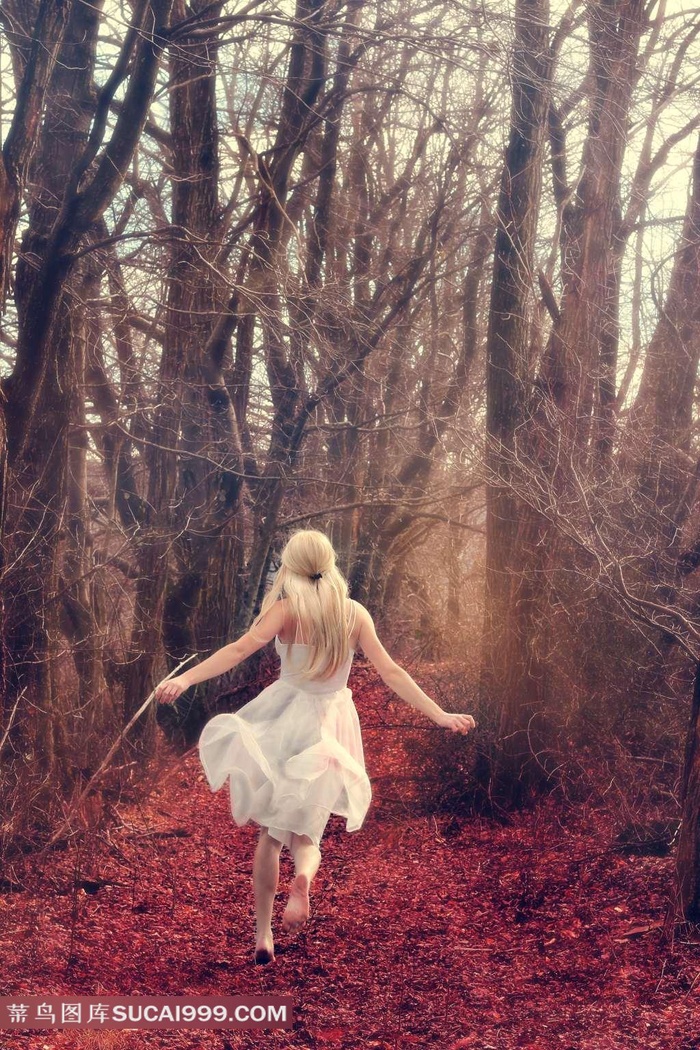 中国spark打视频大全