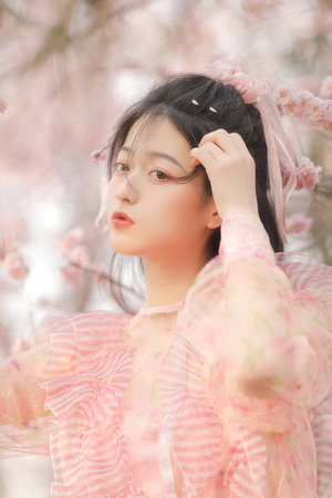 怒火凤凰国语免费完整版在线观看