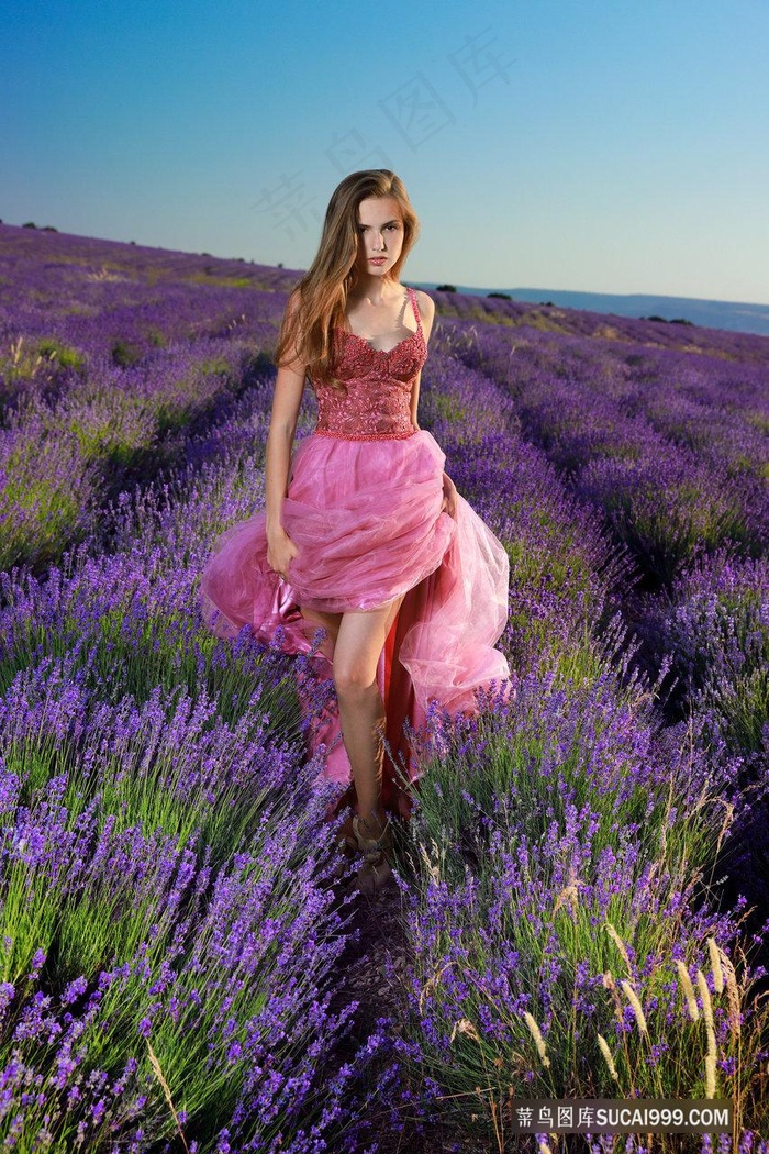 电视剧亲爱的翻译官