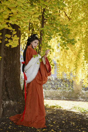 动漫涩涩免费网站在线看