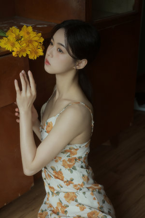 田教授家的二十八个保姆