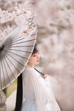 功夫熊猫之师傅的秘密