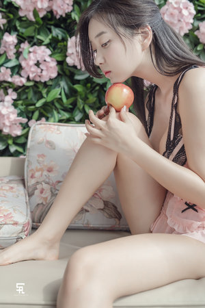 二炮手1-40集免费观看