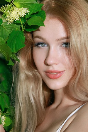 新甘十九妹电视剧在线观看完整版免费