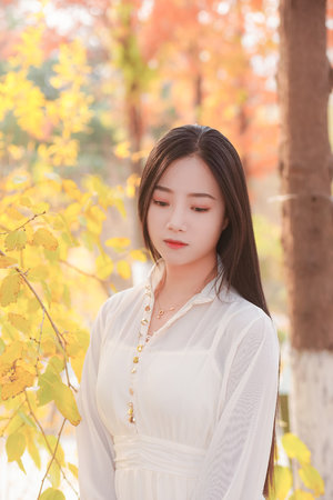 人不彪悍枉少年电视剧