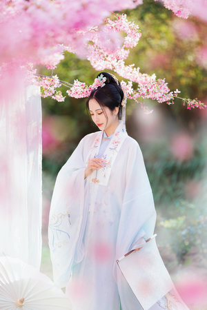 蝴蝶伊人好屌草在线