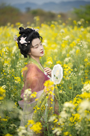 苍空电影全集免费观看