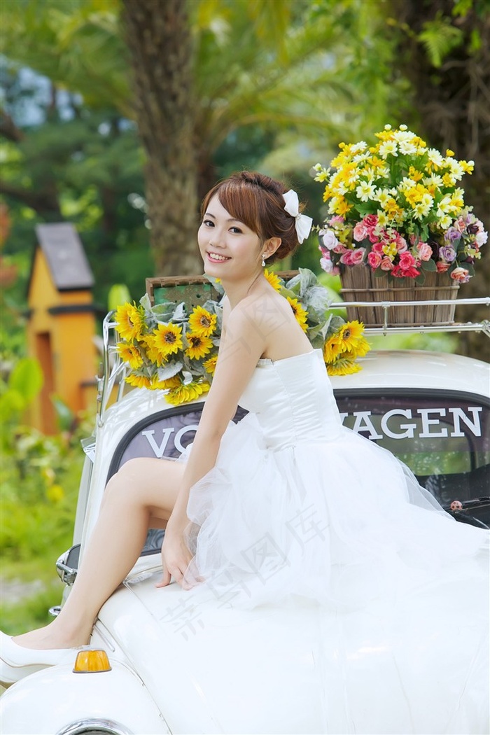 啦啦啦BD高清视频