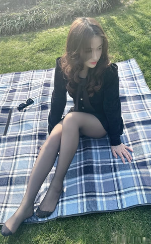 北风吹雁雪纷纷