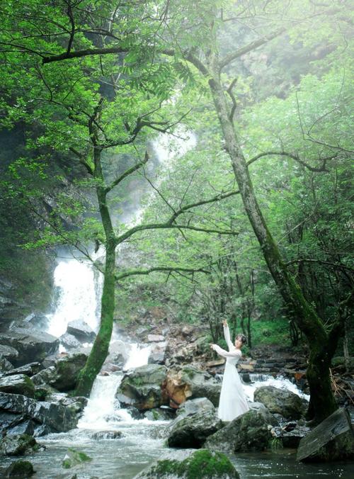 王顾左右而言他