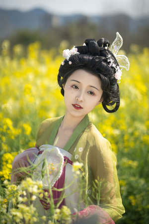 狼群电影免费在线观看