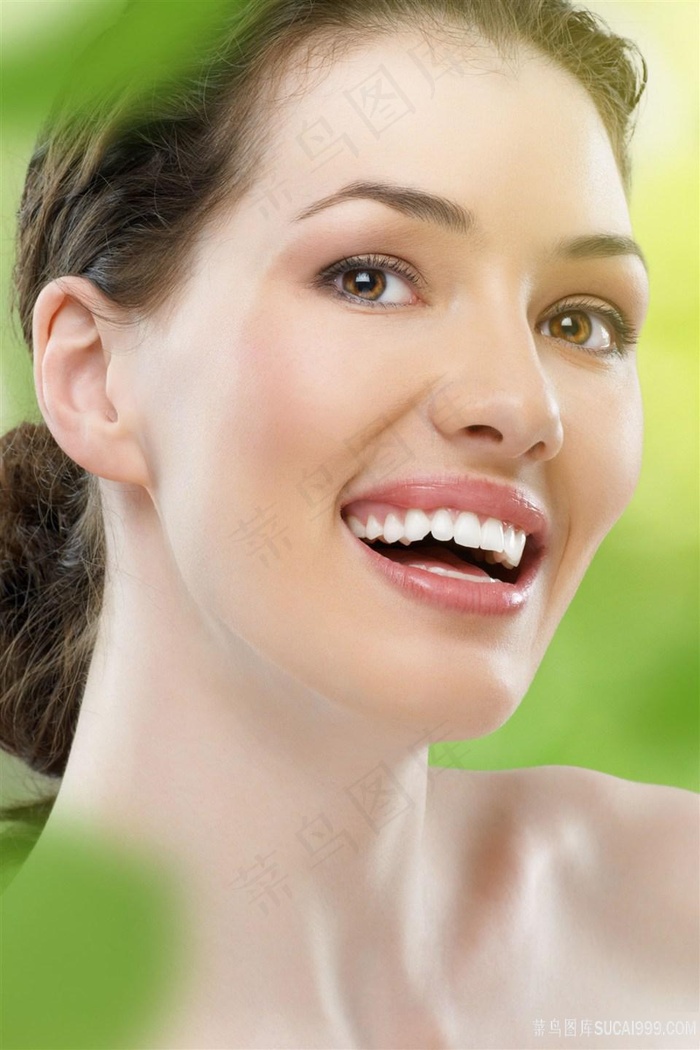 武林外传在线观看免费全集电视剧