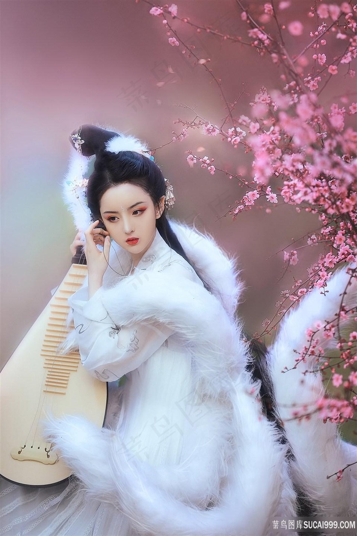 免费观看二炮手