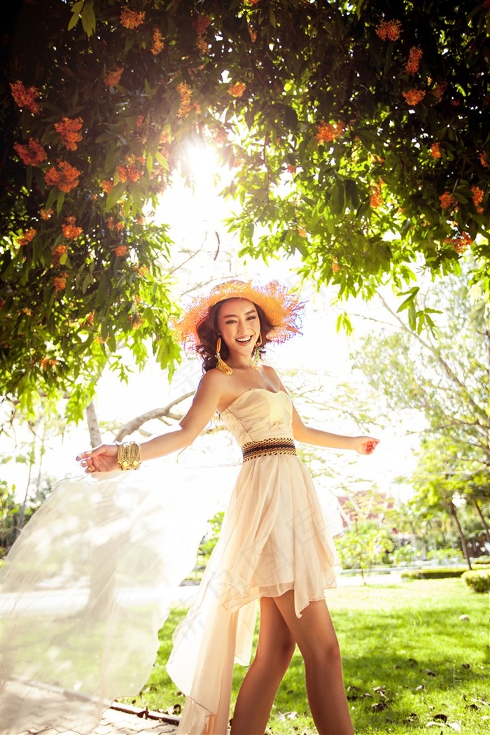 2012在线观看高清完整版免费