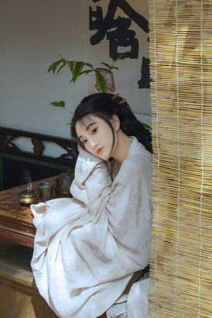 视频区图片区小说区