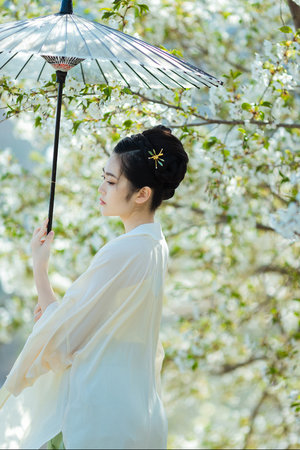 韩国电影朋友的妻子