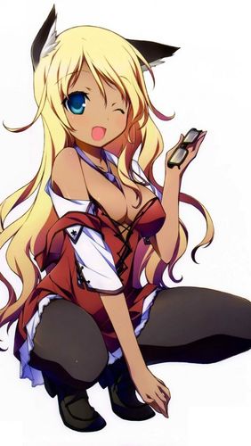 小黄花必看开车必备